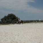 Fantástica Quinta Equestre – Alentejo