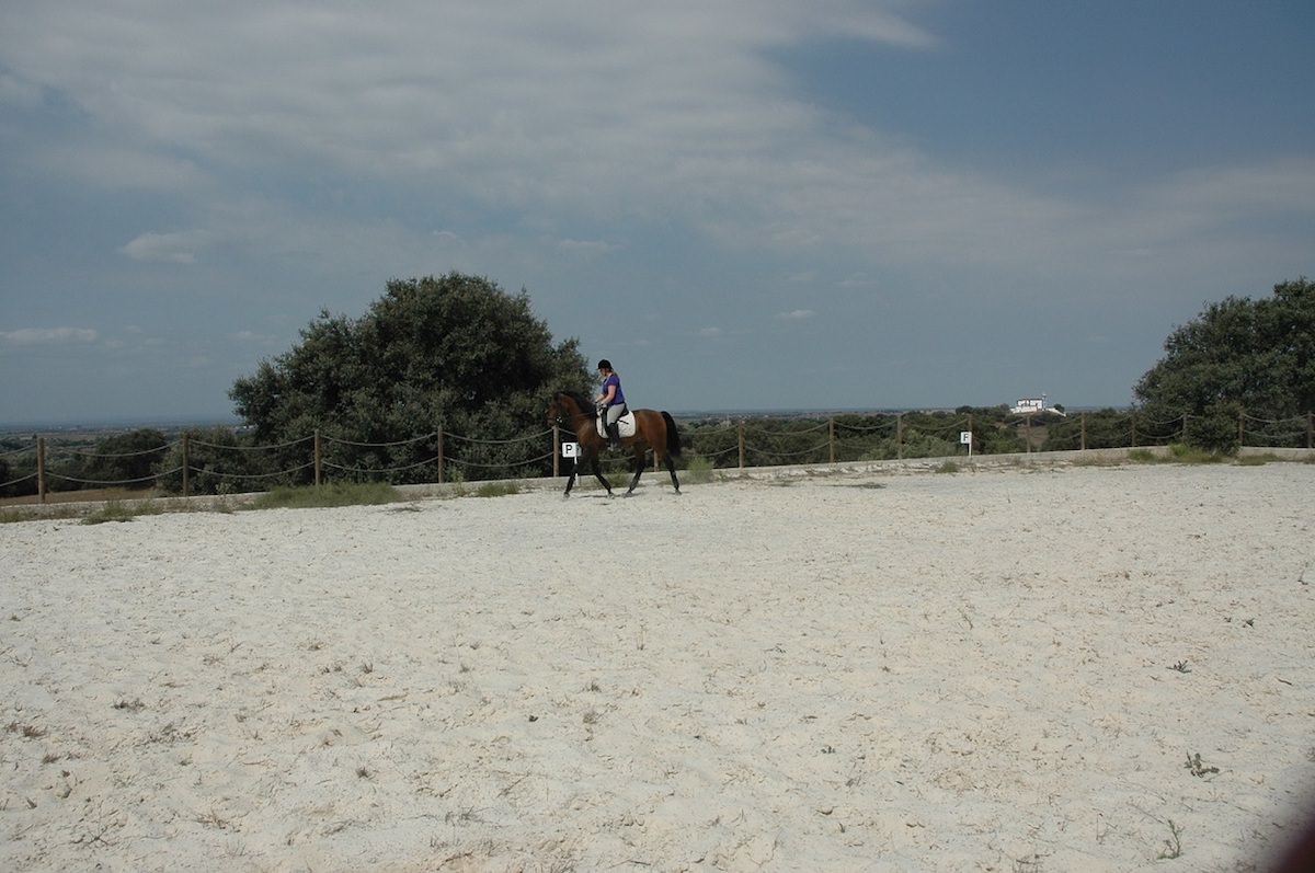 Fantástica Quinta Equestre – Alentejo