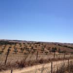 Fantástica Quinta Equestre – Alentejo