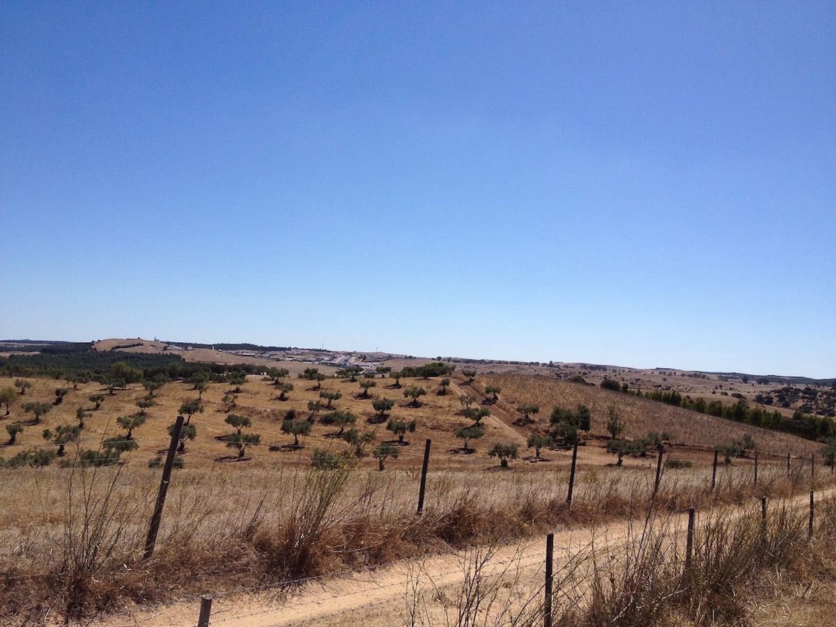 Fantástica Quinta Equestre – Alentejo