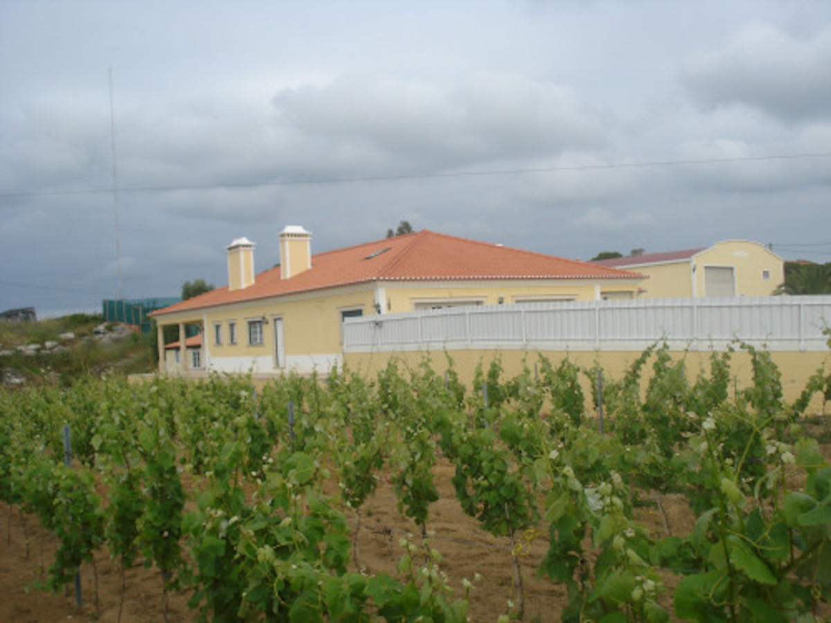 Bela Moradia T7 para venda Silver Coast