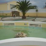 Bela Moradia T7 para venda Silver Coast