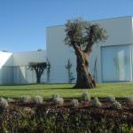 Maison de l’architecte Souto Moura sur le parcours de golf – occasion Excellent!