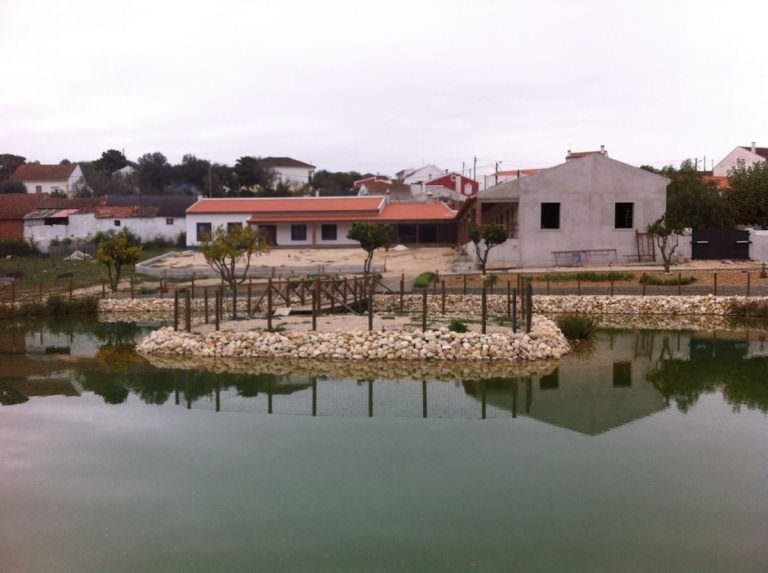 Farm / Ranch for sale in Portugal Villas Luz Portuguese Real Estate