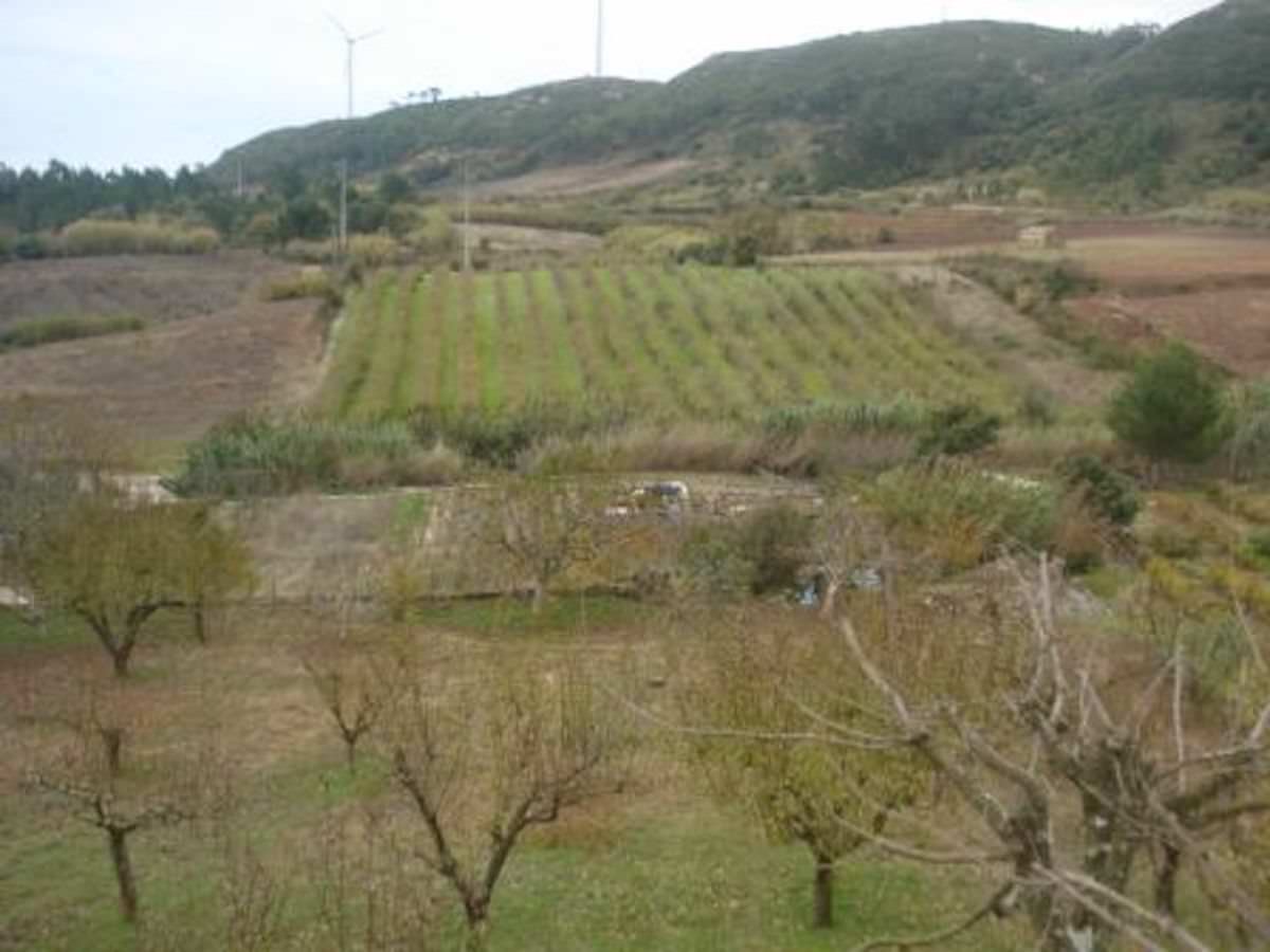 Small farm close to Bombarral and Obidos