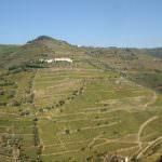 Quinta no Douro – Porto e Douro Investidores