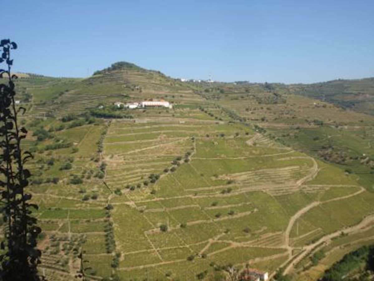 Quinta no Douro – Porto e Douro Investidores