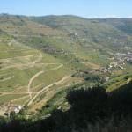 Quinta no Douro – Porto e Douro Investidores