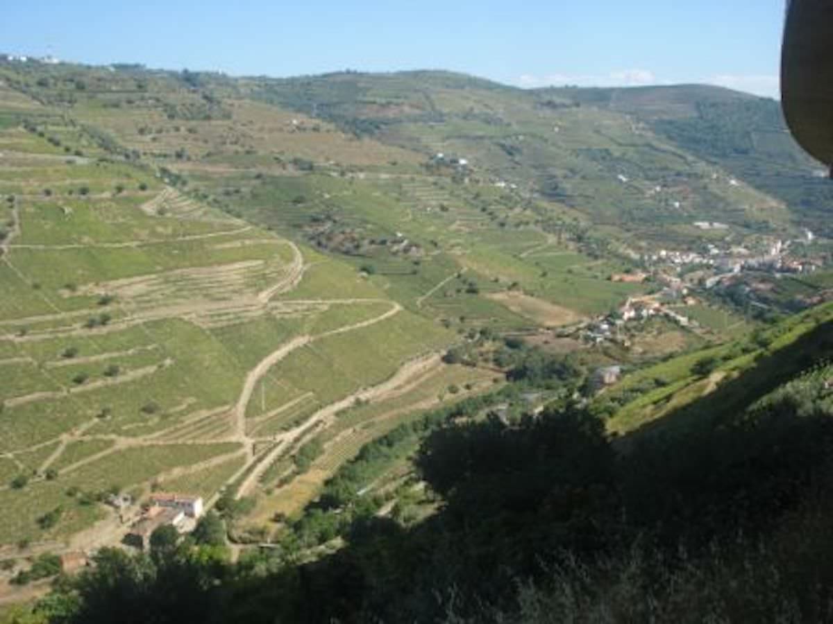Quinta no Douro – Porto e Douro Investidores