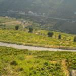 Quinta no Douro – Porto e Douro Investidores