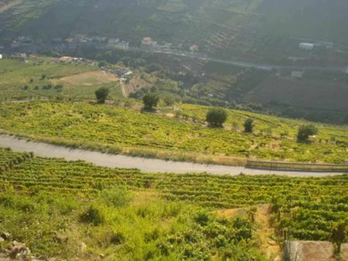 Quinta no Douro – Porto e Douro Investidores