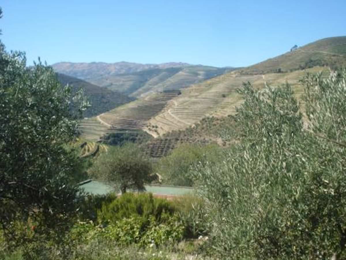 Vignoble et ferme a vendre sur le Douro au Portugal