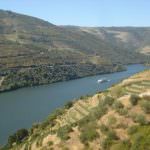 Vignoble et ferme a vendre sur le Douro au Portugal