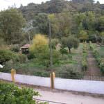 Farm with equestrian potential in Mafra