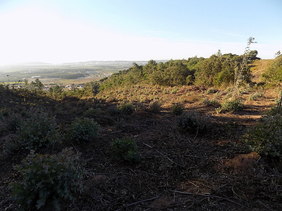 Plot for sale with distant sea views