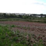 Quinta com 7 quartos no coração da Costa de Prata