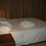 Maravilhosa Quinta Produção de vinho Rio Douro