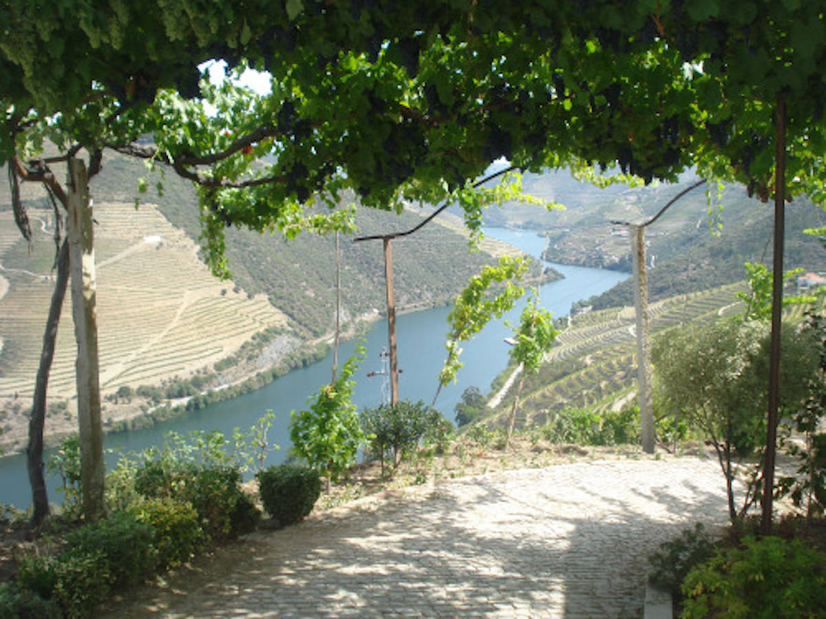 Maravilhosa Quinta Produção de vinho Rio Douro