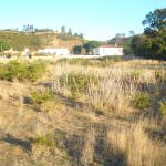 Construction land for sale close to Caldas da Rainha