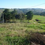 Great plot for sale A dos Negros Silver Coast