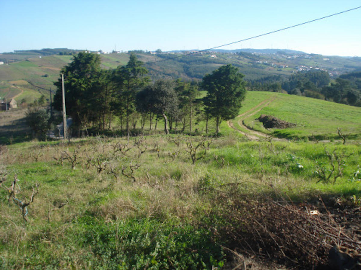 Great plot for sale A dos Negros Silver Coast