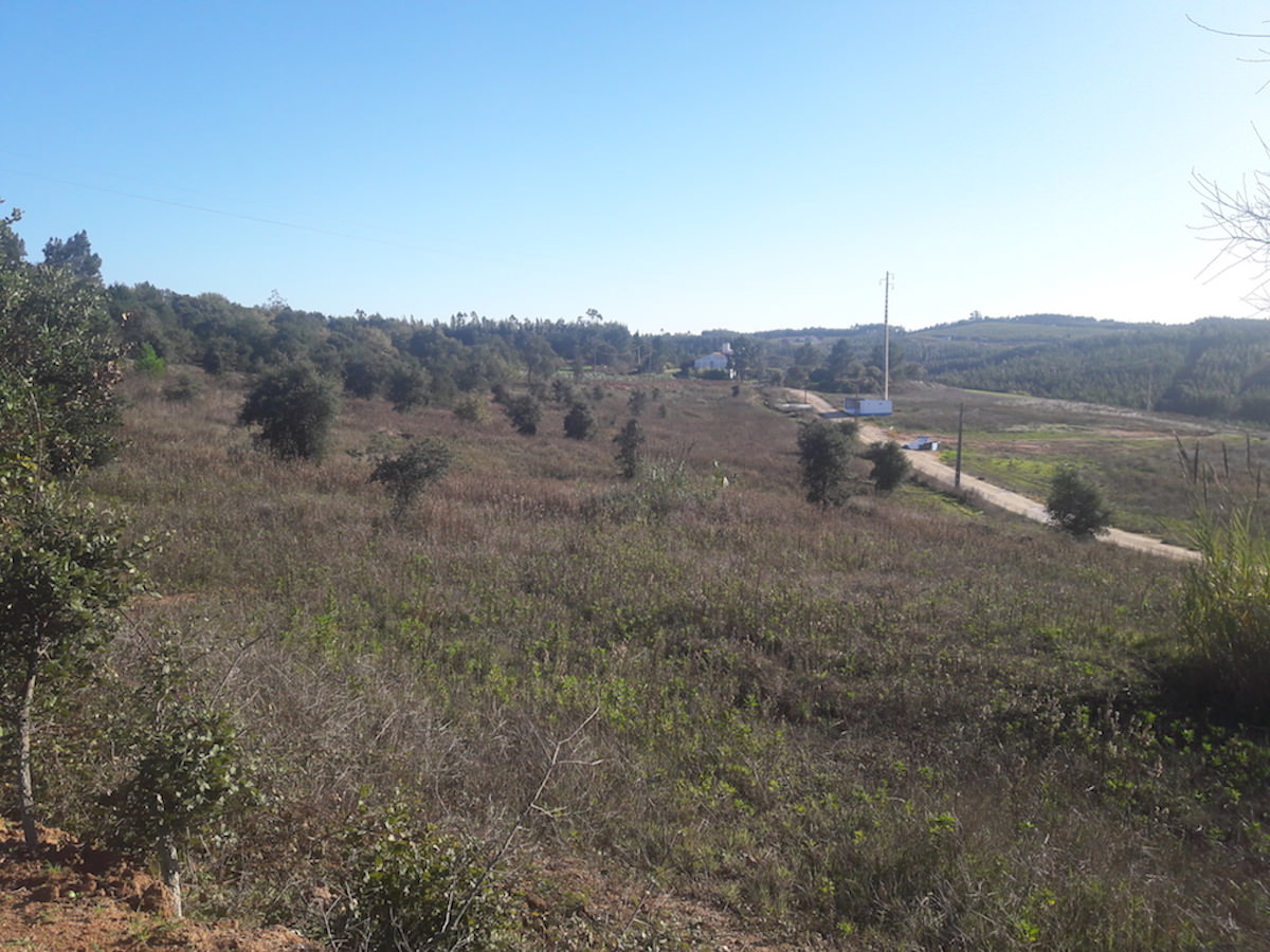 Terrain à bâtir avec vue panoramique de 4,5 hectare