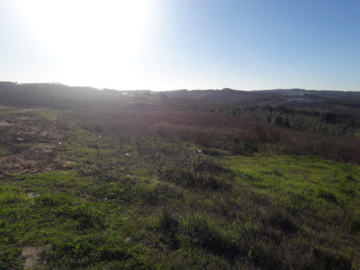 Land for construction with panoramic view of 4,5 hect