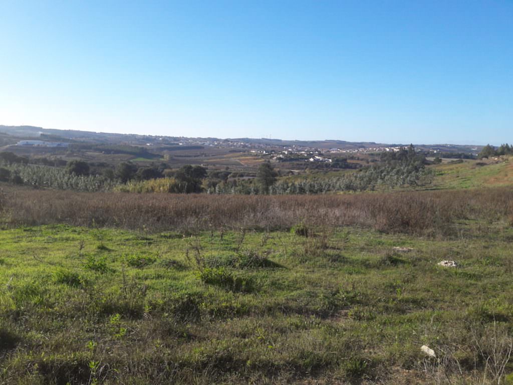 Plot / Land for sale in Portugal Villas Luz Portuguese Real Estate Agency