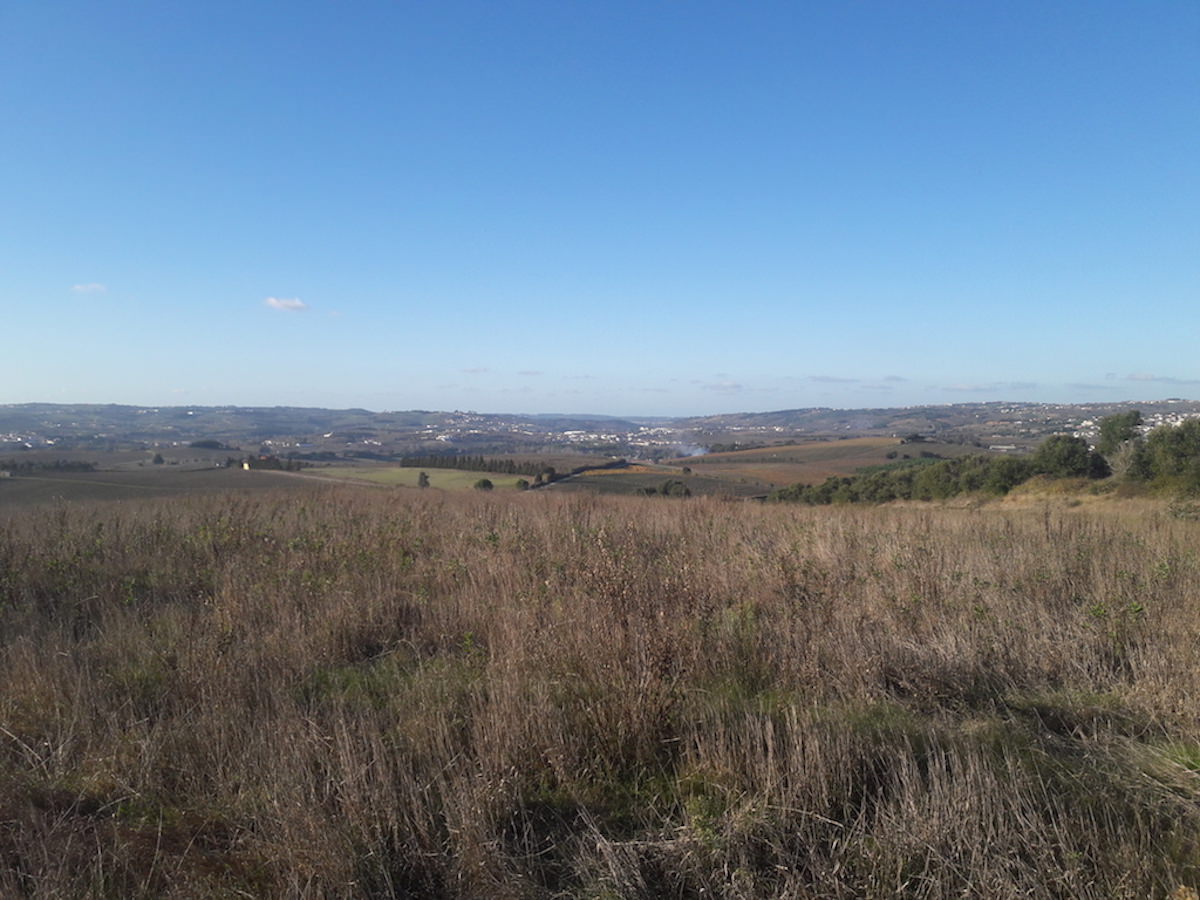 Terreno para construção de uma Quinta com vistas desafogadas 360º