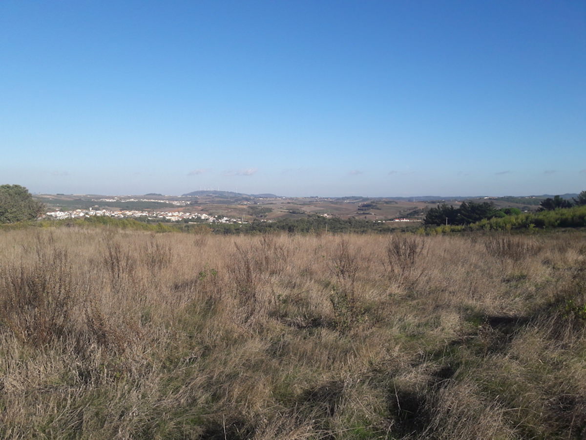 Terreno para construção de uma Quinta com vistas desafogadas 360º