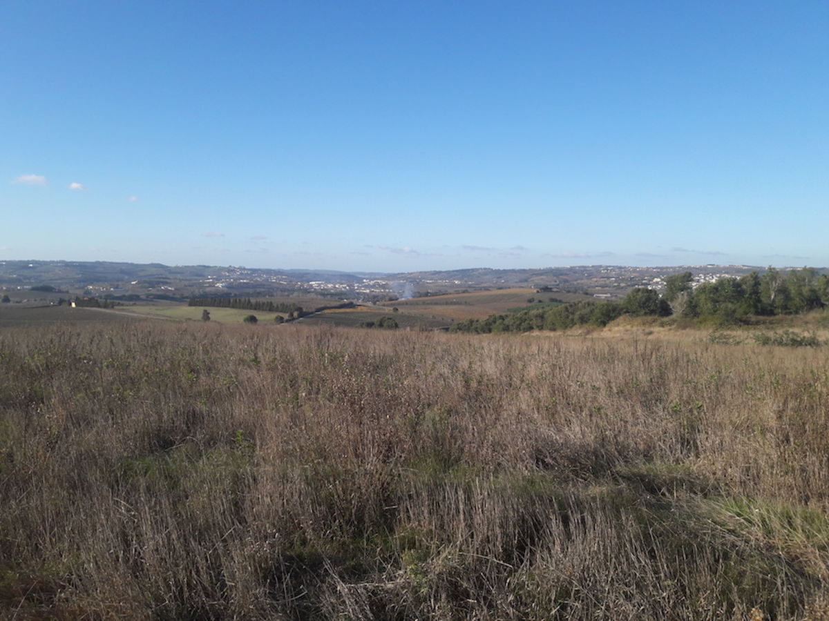 Terreno para construção de uma Quinta com vistas desafogadas 360º