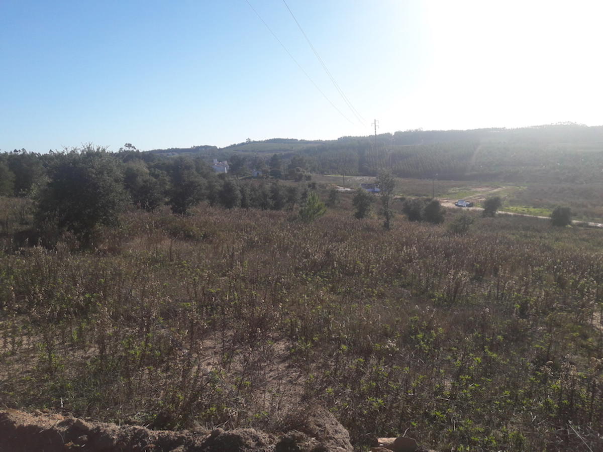 Building plot with unobstructed views