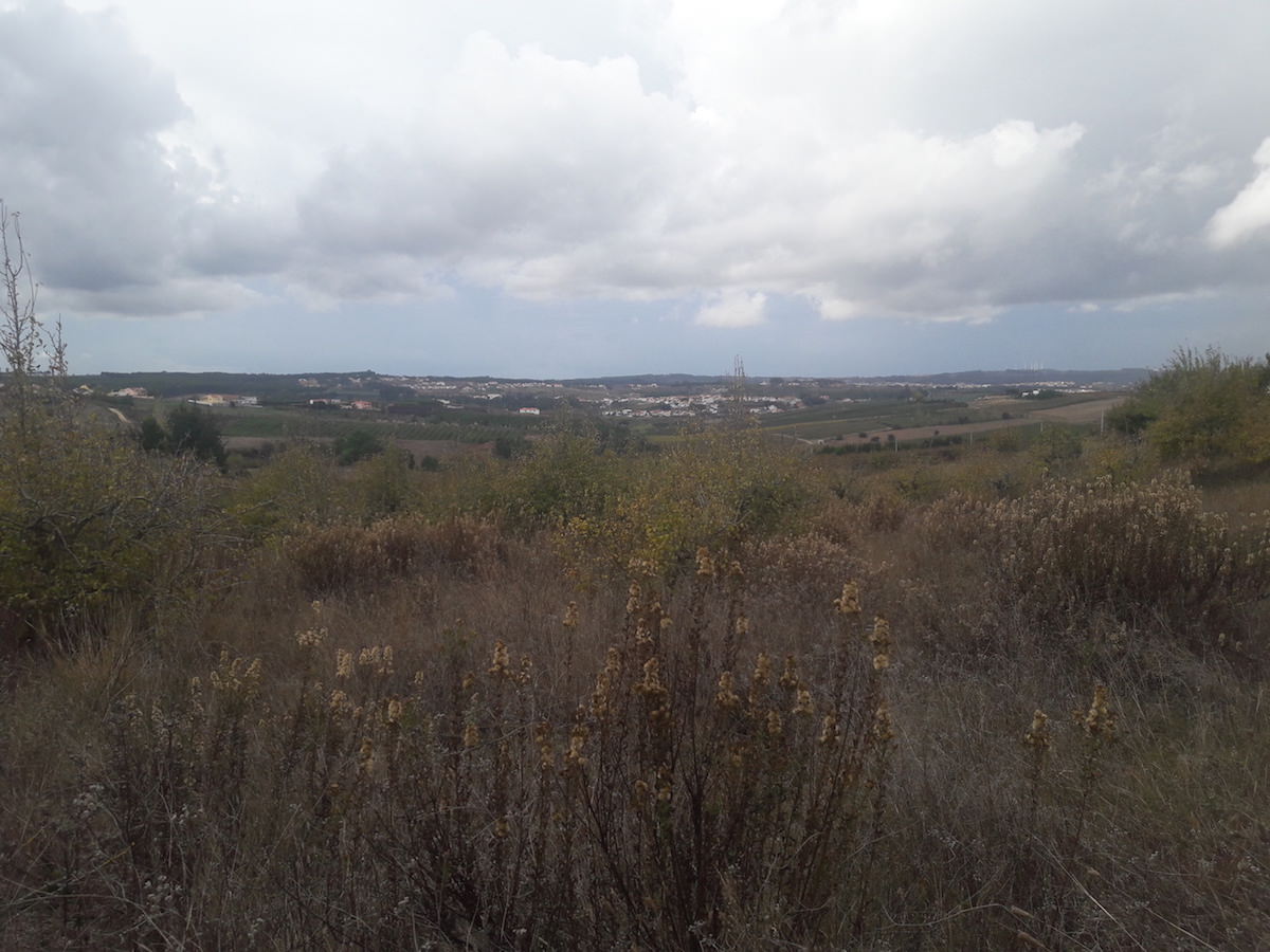 Land for construction with great location and Vista – Field