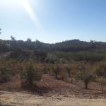 Terreno para construção com óptima localização e Vista Campo