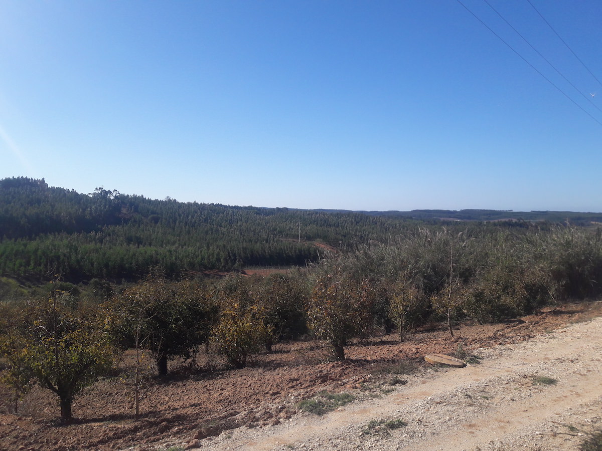 Terreno para construção com óptima localização e Vista Campo