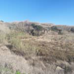 Terreno com projecto aprovado para 12 Apartamentos com vista de mar – Área de praia