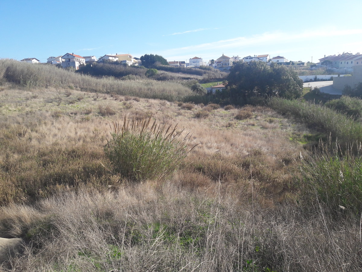 Terreno com projecto aprovado para 12 Apartamentos com vista de mar – Área de praia