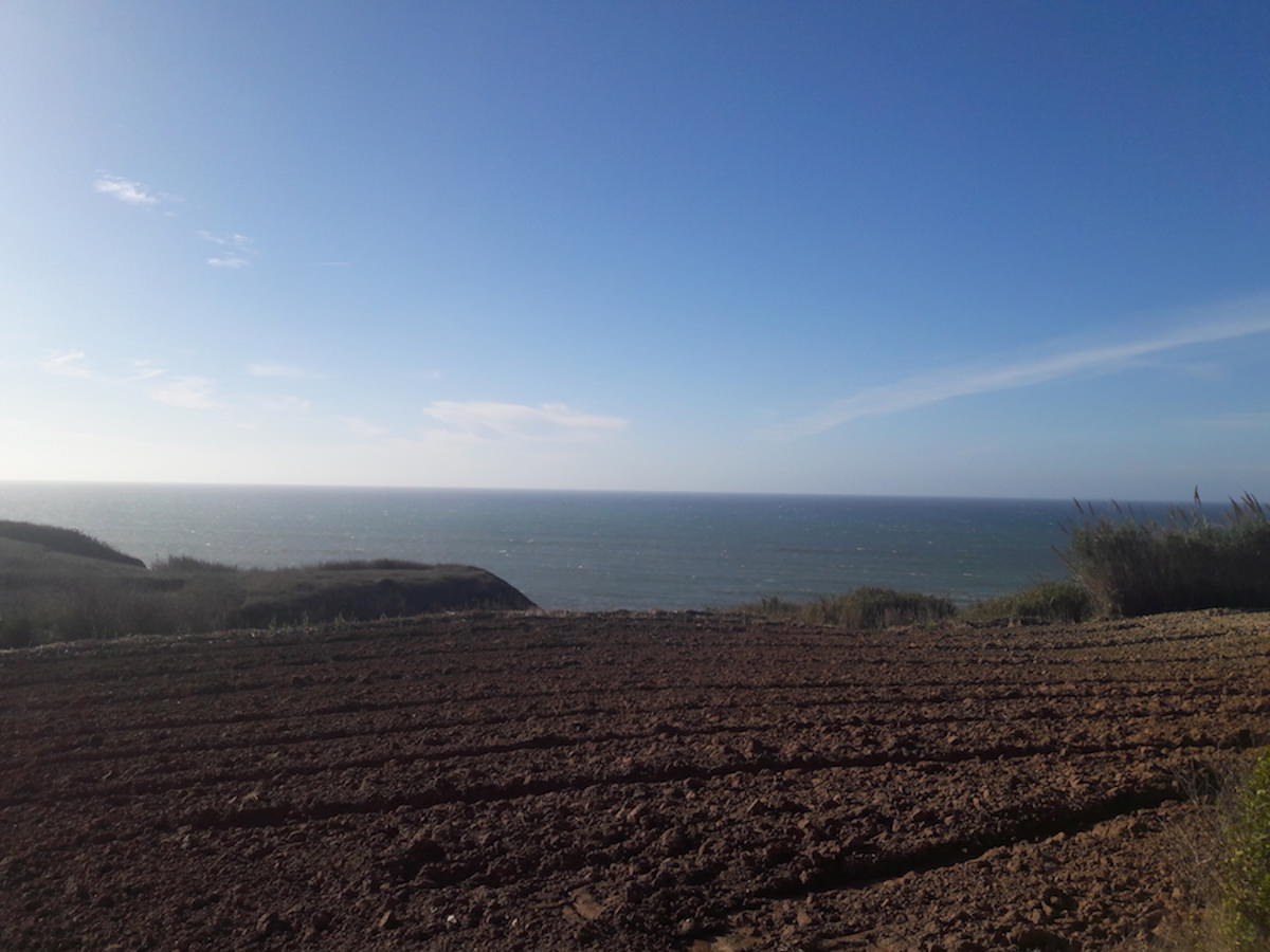 Terreno com projecto aprovado para 12 Apartamentos com vista de mar – Área de praia