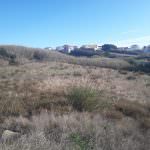 Terreno com projecto aprovado para 12 Apartamentos com vista de mar – Área de praia