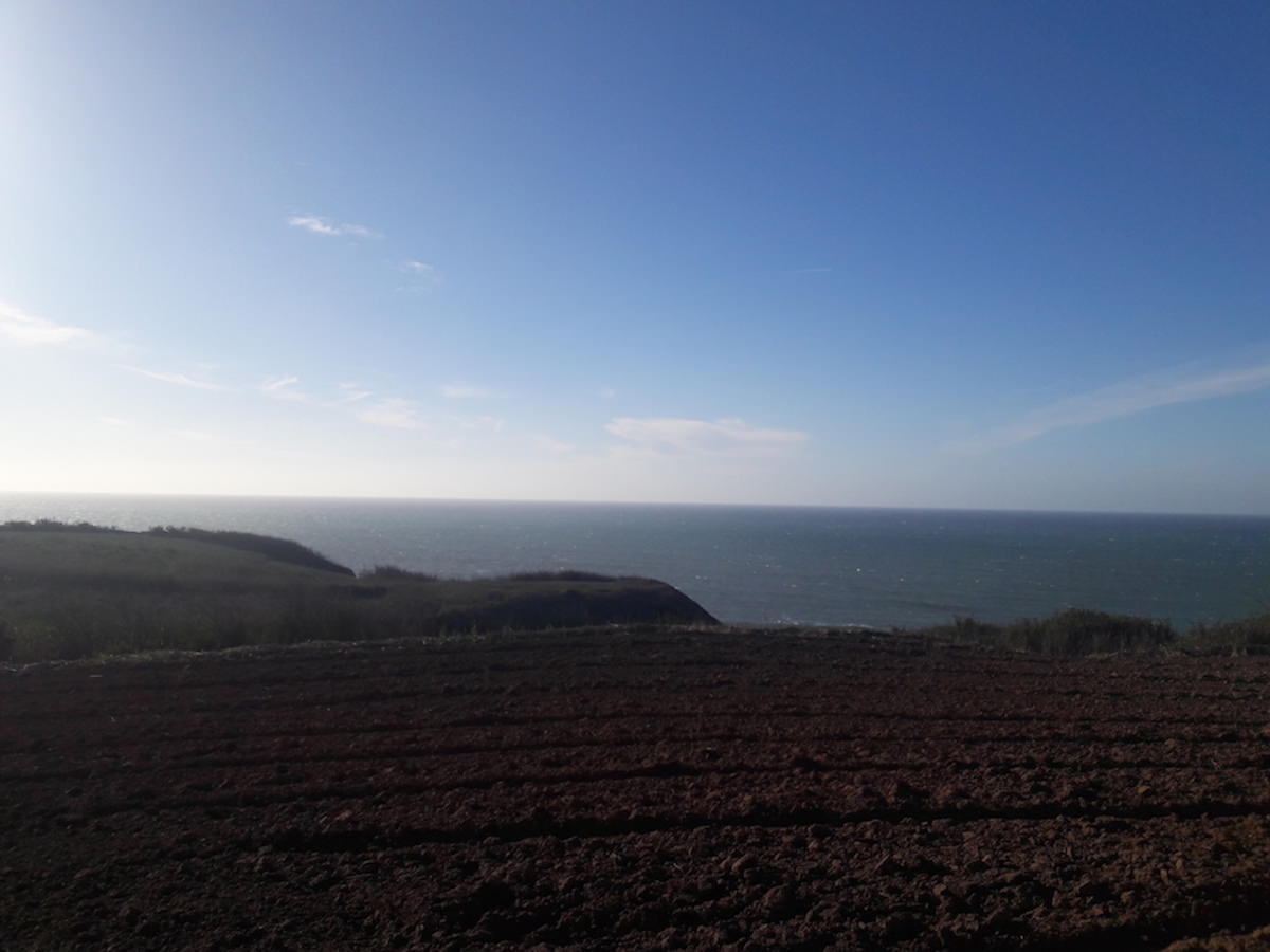 Terreno com projecto aprovado para 12 Apartamentos com vista de mar – Área de praia
