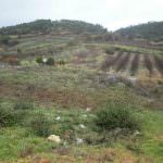 Lote com projecto aprovado em preço de ocasião