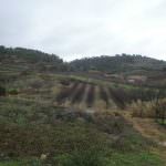 Lote com projecto aprovado em preço de ocasião