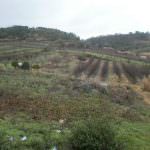 Lote com projecto aprovado em preço de ocasião