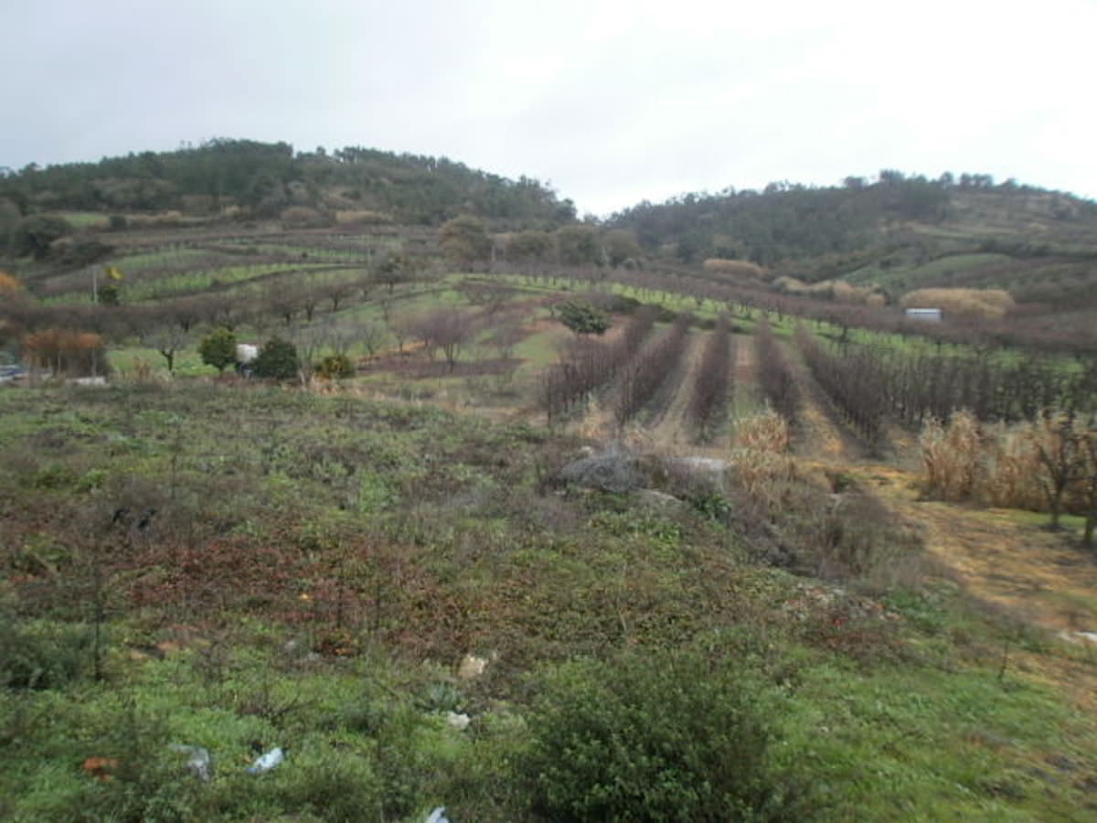 Lote com projecto aprovado em preço de ocasião