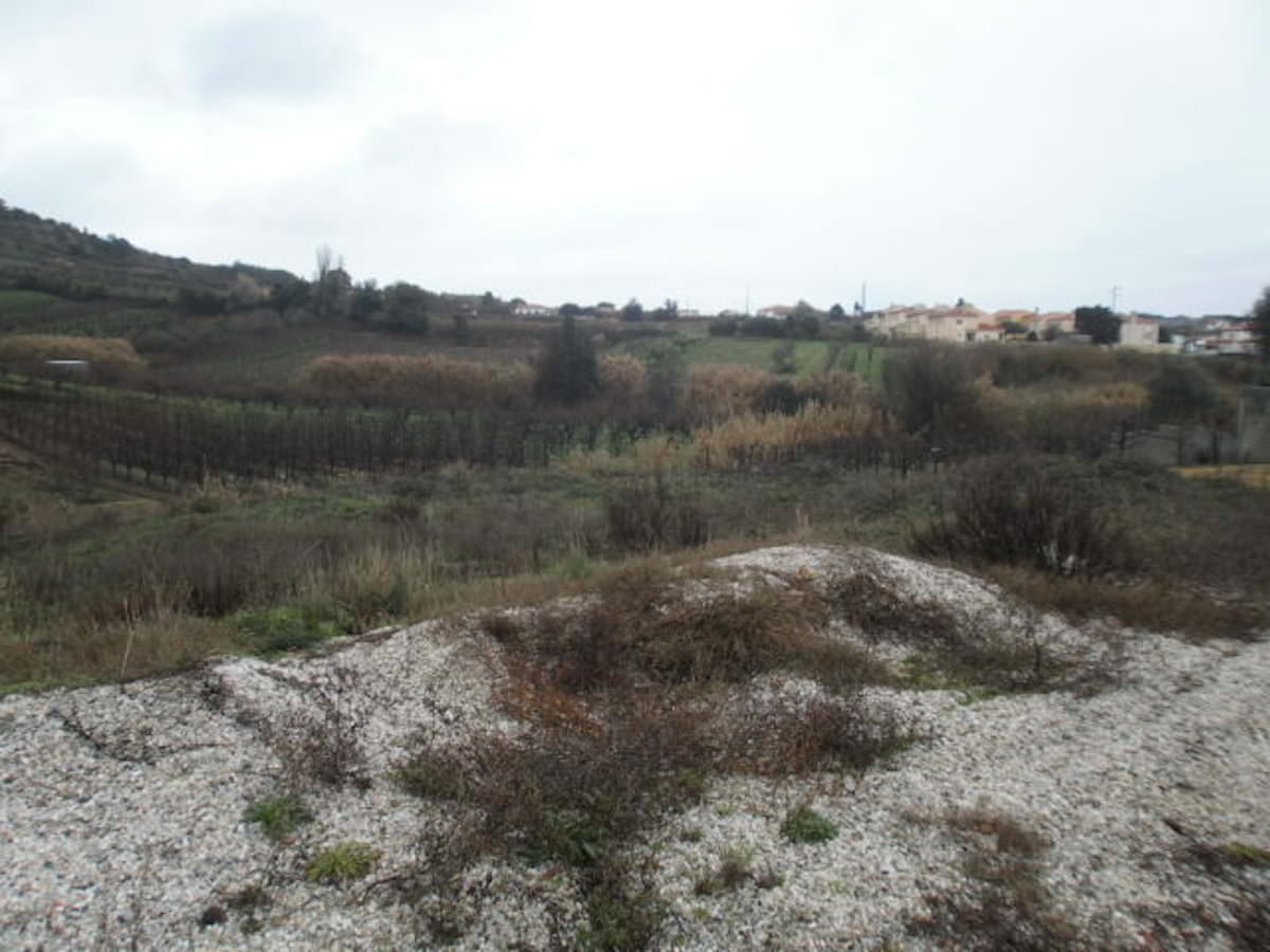 Lote com projecto aprovado em preço de ocasião