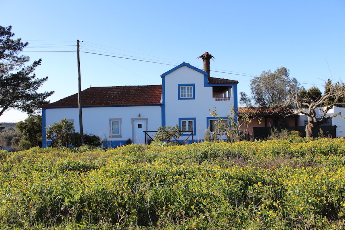 Moradia Tradicional estilo Quinta perto de Óbidos