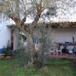 Moradia Tradicional estilo Quinta perto de Óbidos