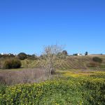 Moradia Tradicional estilo Quinta perto de Óbidos