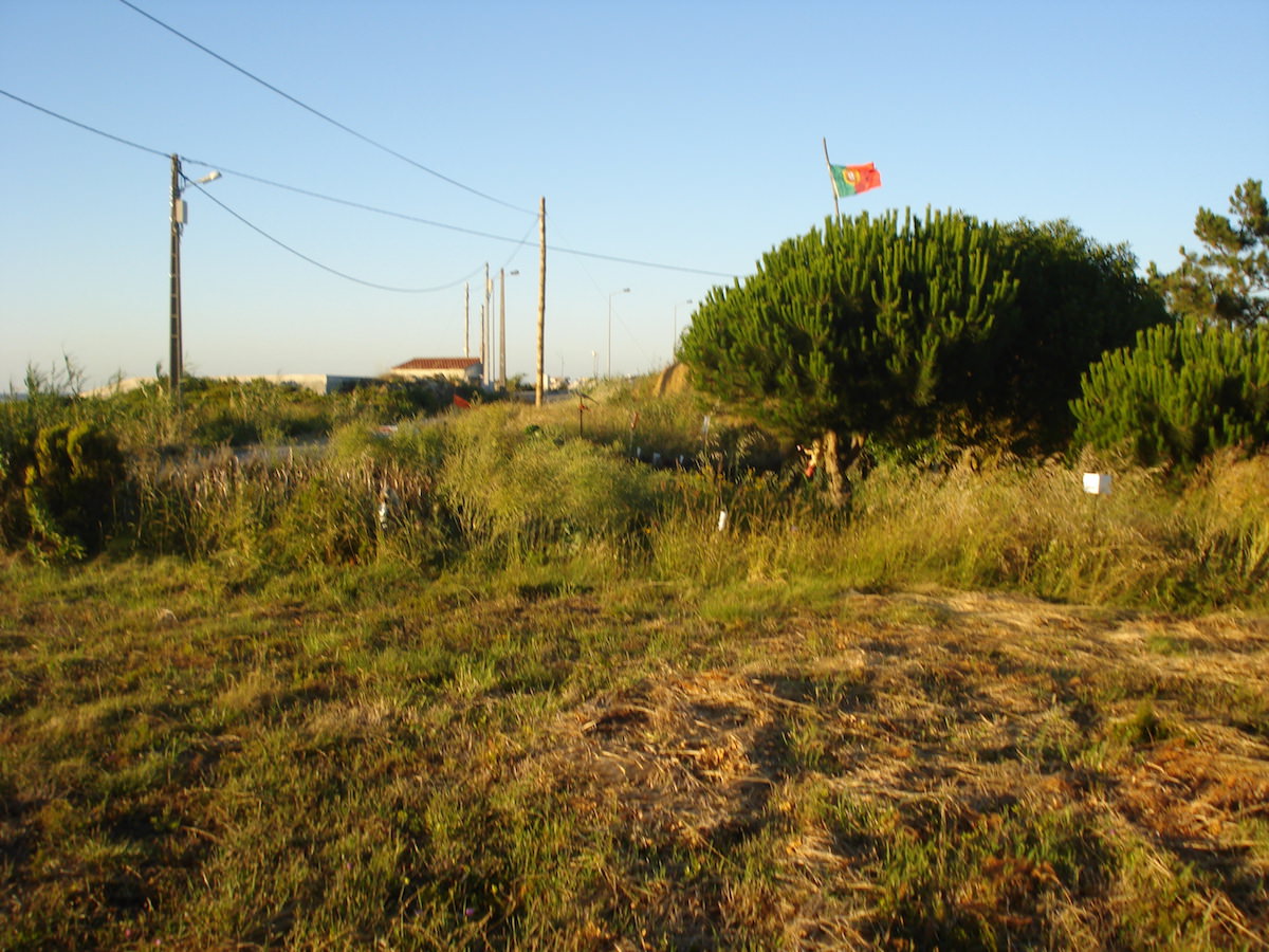 Terreno com vista mare campo perto de São Martinho do Porto