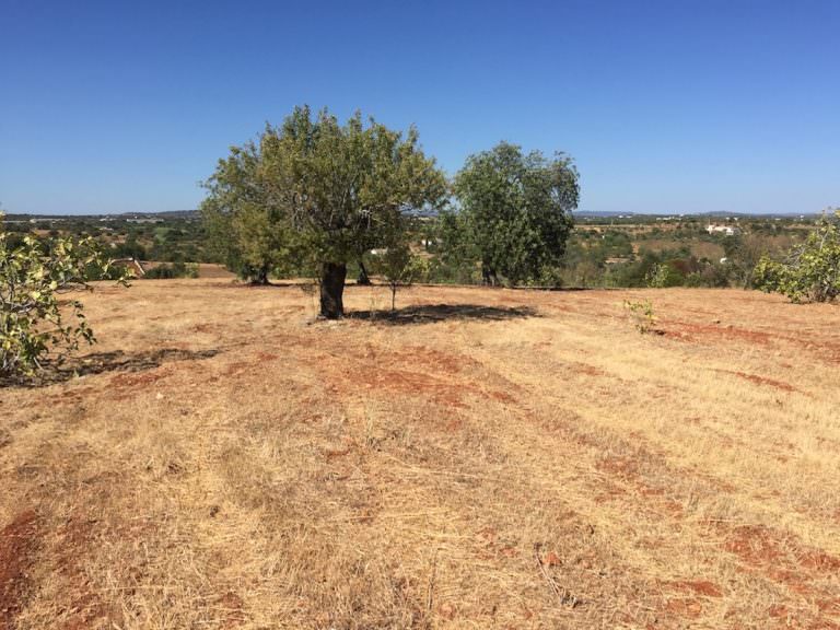 Plot / Land for sale in Portugal Villas Luz Portuguese Real Estate Agency